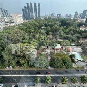 View Thảo Cẩm Viền nhìn từ tầng 15 tòa nhà 2Bis Nguyễn Thị Minh Khai